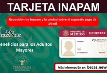 Reposición de Inapam y la verdad sobre el supuesto pago de 14 mil