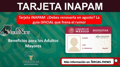Tarjeta INAPAM: ¿Debes renovarla en agosto? La guía OFICIAL que frena el rumor