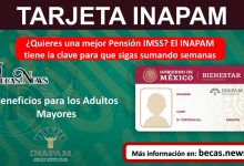 ¿Quieres una mejor Pensión IMSS? El INAPAM tiene la clave para que sigas sumando semanas