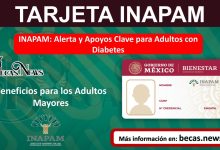 INAPAM: Alerta y Apoyos Clave para Adultos con Diabetes