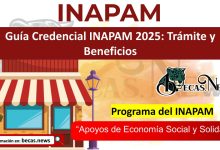 ¿Cumpliste 60? Aprende a tramitar tu credencial INAPAM de forma presencial. Conoce los requisitos, ubica tu módulo y obtén descuentos al instante.