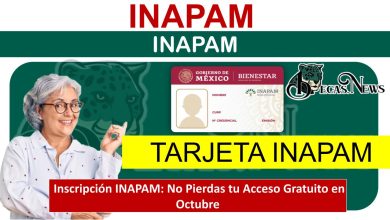Inscripción INAPAM: No Pierdas tu Acceso Gratuito en Octubre