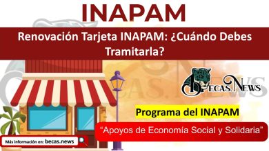 Renovación Tarjeta INAPAM: ¿Cuándo Debes Tramitarla?