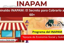 Aguinaldo INAPAM: El Secreto para Cobrarlo a los 60+