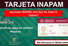 Aguinaldo INAPAM: ¿Por Qué No Todos lo Cobran?