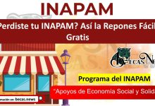¿Perdiste tu INAPAM? Así la Repones Fácil y Gratis