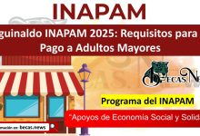Aguinaldo INAPAM 2025: Requisitos para el Pago a Adultos Mayores