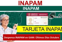 ▷ Despensa INAPAM en GAM: Últimos Días Octubre » 2025 BECAS.NEWS 🥇 Despensa INAPAM en GAM: Últimos Días Octubre