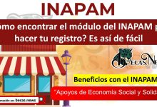 ¿Cómo encontrar el módulo del INAPAM para hacer tu registro? Es así de fácil