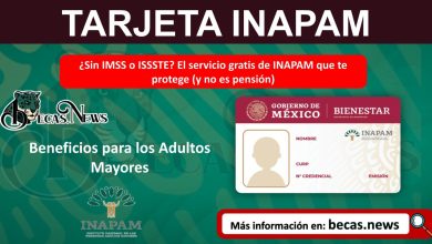 ¿Sin IMSS o ISSSTE? El servicio gratis de INAPAM que te protege (y no es pensión)