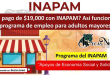 ¿Un pago de $19,000 con INAPAM? Así funciona el programa de empleo para adultos mayores