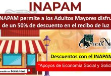 El INAPAM permite a los Adultos Mayores disfrutar de un 50% de descuento en el recibo de luz