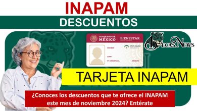 ¿Conoces los descuentos que te ofrece el INAPAM este mes de noviembre 2024? Entérate