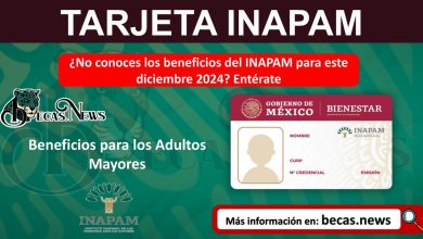 ¿No conoces los beneficios del INAPAM para este diciembre 2024? Entérate