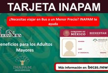 ¿Necesitas viajar en Bus a un Menor Precio? INAPAM te ayuda