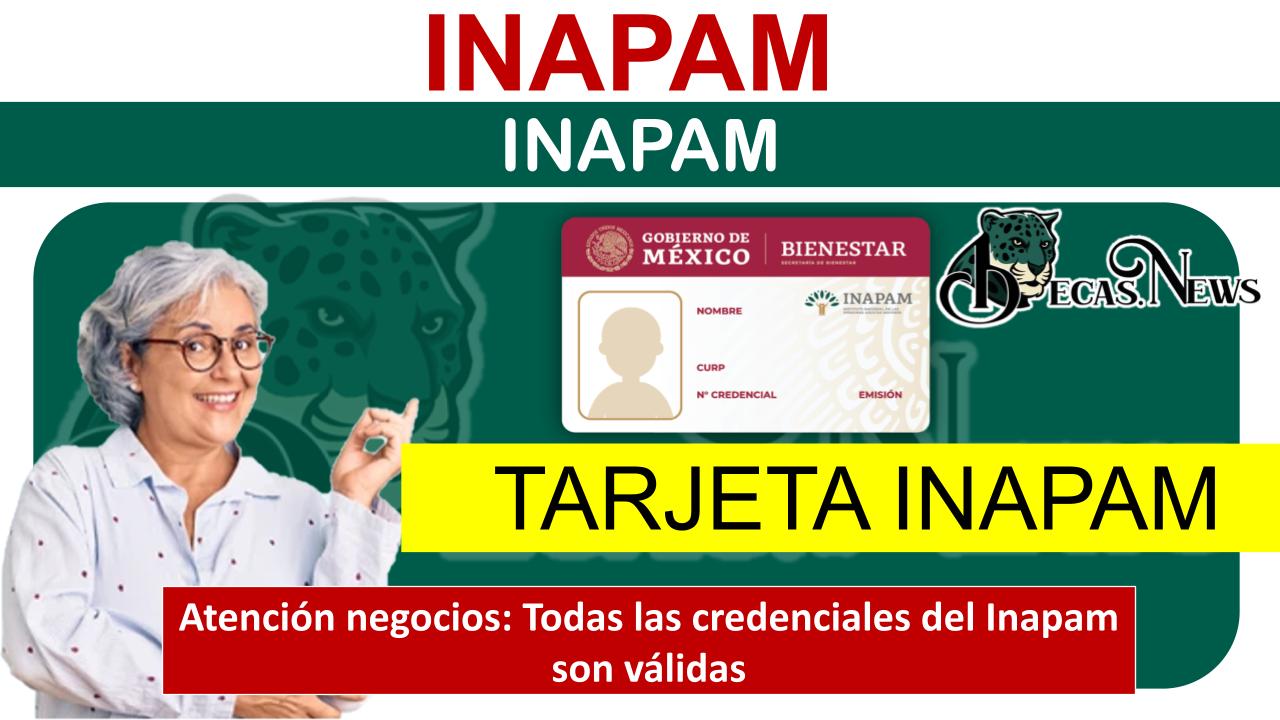 ▷ Atención negocios: Todas las credenciales del Inapam son válidas » 2025 BECAS.NEWS 🥇 Atención negocios: Todas las credenciales del Inapam son válidas