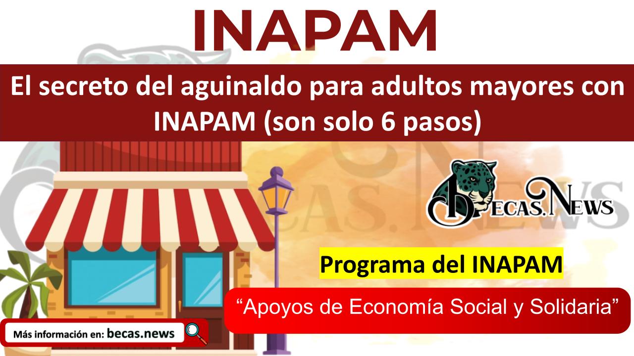 ▷ El secreto del aguinaldo para adultos mayores con INAPAM (son solo 6 pasos) » 2025 BECAS.NEWS 🥇 El secreto del aguinaldo para adultos mayores con INAPAM (son solo 6 pasos)
