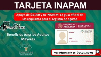Apoyo de $3,000 y tu INAPAM: La guía oficial de los requisitos para el registro de agosto