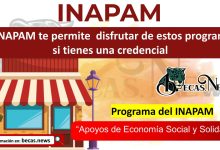 El INAPAM te permite disfrutar de estos programas si tienes una credencial