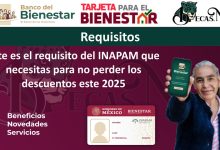 Este es el requisito del INAPAM que necesitas para no perder los descuentos este 2025