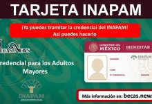 ¡Ya puedes tramitar la credencial de tu tarjeta INAPAM! Así puedes hacerlo