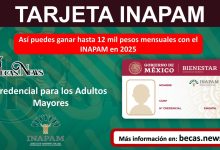 Así puedes ganar hasta 12 mil pesos mensuales con el INAPAM en 2025