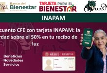 Descuento CFE con tarjeta INAPAM: la verdad sobre el 50% en tu recibo de luz