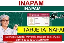 ¡Atención! Adultos mayores: descubre qué servicio GRATIS te da la tarjeta INAPAM