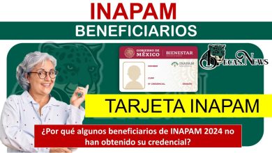 ¿Por qué algunos beneficiarios de INAPAM 2024 no han obtenido su credencial?