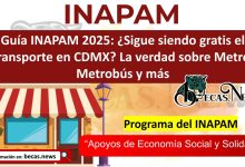 Guía INAPAM 2025: ¿Sigue siendo gratis el transporte en CDMX? La verdad sobre Metro, Metrobús y más