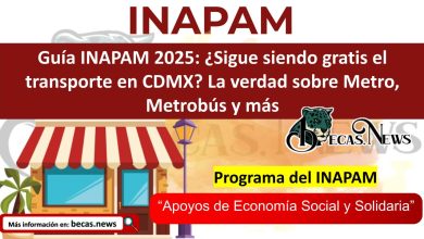 Guía INAPAM 2025: ¿Sigue siendo gratis el transporte en CDMX? La verdad sobre Metro, Metrobús y más