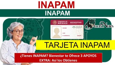 ¿Tienes INAPAM? Bienestar te Ofrece 3 APOYOS EXTRA: Así los Obtienes