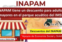 INAPAM tiene un descuento para adultos mayores en el parque acuático del IMSS