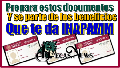 Prepara estos documentos y se parte de los beneficios que te da INAPAMM 