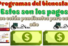 Programas del bienestar | Estos son los pagos qué están pendientes para este año 