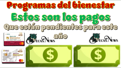 Programas del bienestar | Estos son los pagos qué están pendientes para este año 