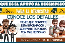 ¿QUÉ ES EL APOYO AL DESEMPLEO PARA EL BIENESTAR?… CONOCE ESTOS DETALLES 