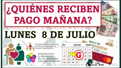 ¿QUIÉNES RECIBEN PAGO MAÑANA LUNES 8 DE JULIO? | PROGRAMAS DEL BIENESTAR