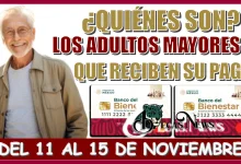 ¿QUIÉNES SON LOS ADULTOS MAYORES QUÉ RECIBEN PAGO DEL 11 AL 15 DE NOVIEMBRE?