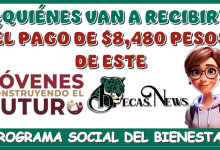 ¿QUIÉNES VAN A RECIBIR EL PAGO DE $8,480 PESOS DE ESTE PROGRAMA SOCIAL DEL BIENESTAR?