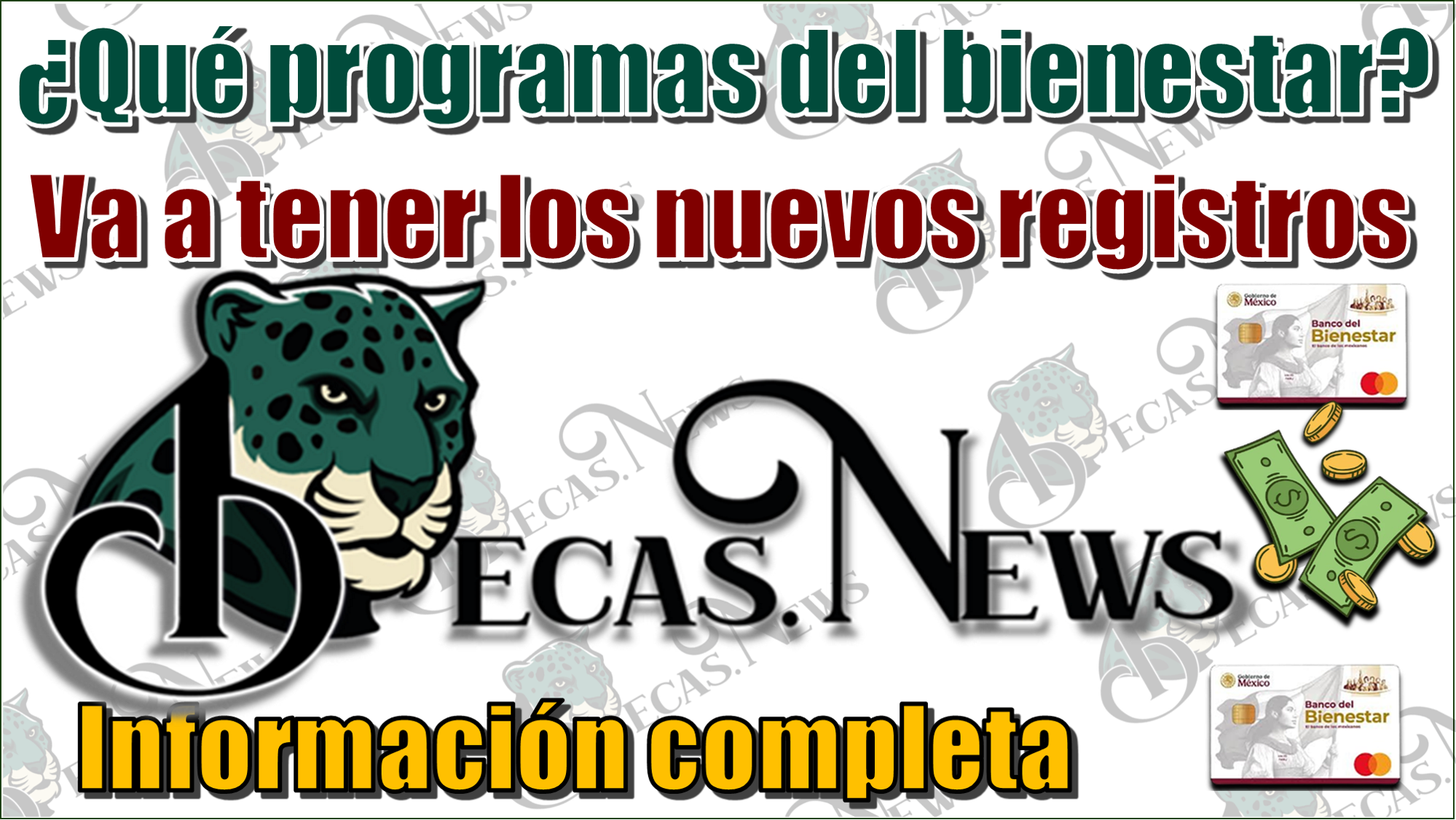 ¿Qué programas del bienestar van a tener los nuevos registros?…Información completa