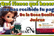 ¿Qué tienes qué hacer si no has recibido tu pago de la Beca Benito Juárez?