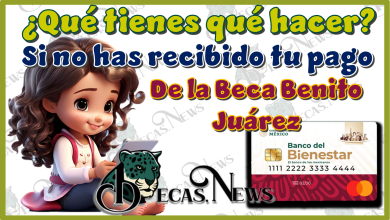¿Qué tienes qué hacer si no has recibido tu pago de la Beca Benito Juárez?