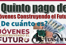 Quinto pago de Jóvenes Construyendo el Futuro | ¿De cuánto es?