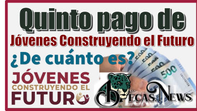 Quinto pago de Jóvenes Construyendo el Futuro | ¿De cuánto es?