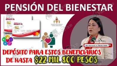 Estos beneficiarios de la Pensión del Bienestar 2024 recibirán hasta $22 mil 800 pesos : Ariadna Montiel Reyes.
