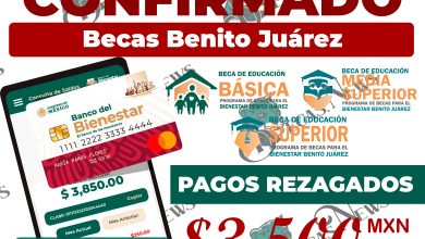 ¡PAGOS CONFIRMADOS!, se da a conocer actualización de fechas para pagos a estos alumnos en el mes de julio