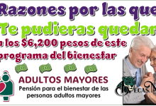Razones por las que te pudieras quedar sin los $6,200 pesos de este programa del bienestar