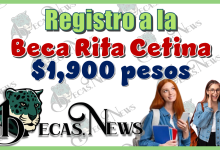 Registro a la Beca Rita Cetina | $1,900 pesos 