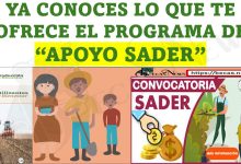 YA CONOCES EL PROGRAMA DE “APOYOS SADER”